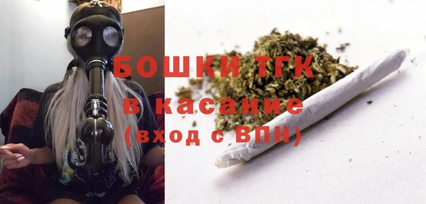 PSILOCYBIN Белокуриха