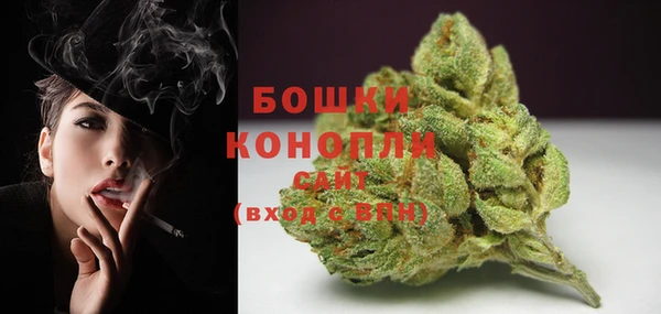 PSILOCYBIN Белокуриха