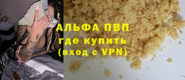 PSILOCYBIN Белокуриха